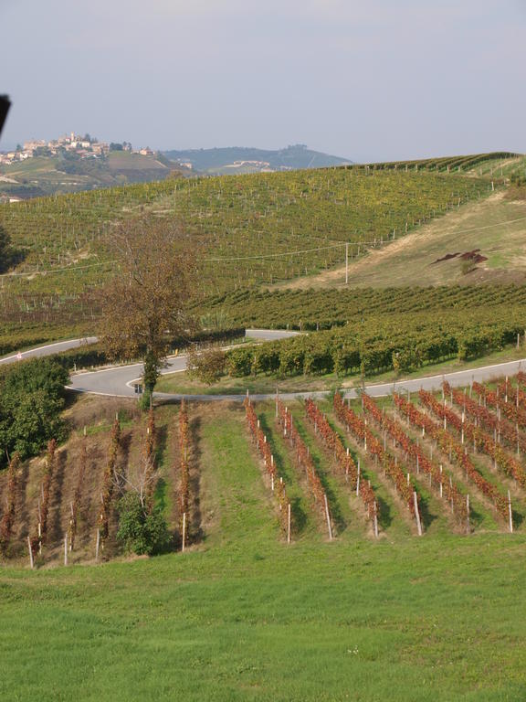 לינה וארוחת בוקר Neviglie La Terrazza Del Barbaresco מראה חיצוני תמונה