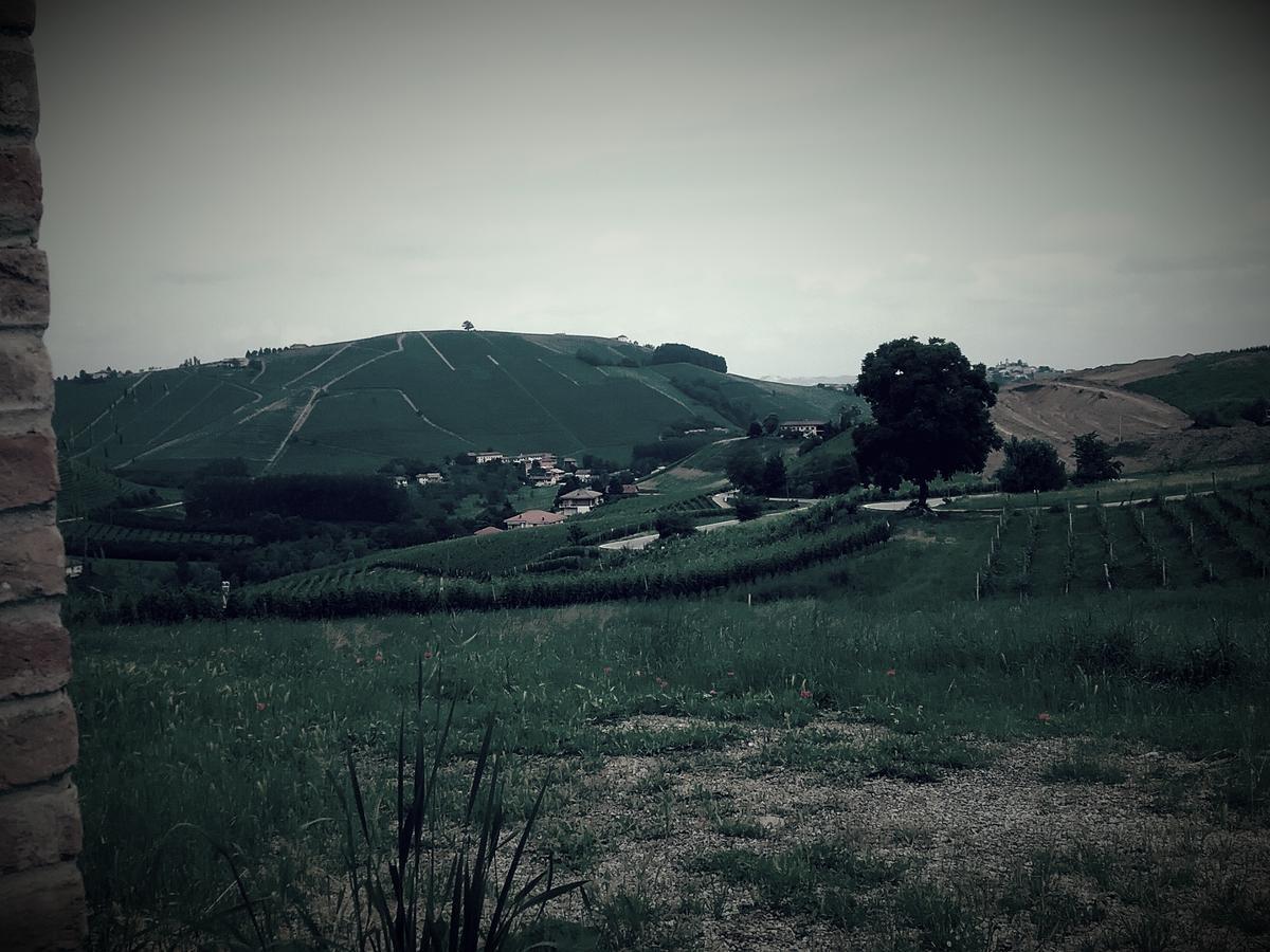 לינה וארוחת בוקר Neviglie La Terrazza Del Barbaresco מראה חיצוני תמונה